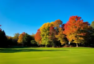 A scenic view of a golf course in Buffalo with colorful autumn trees.