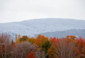 Light snowfall in Buffalo, NY with trees and autumn leaves.